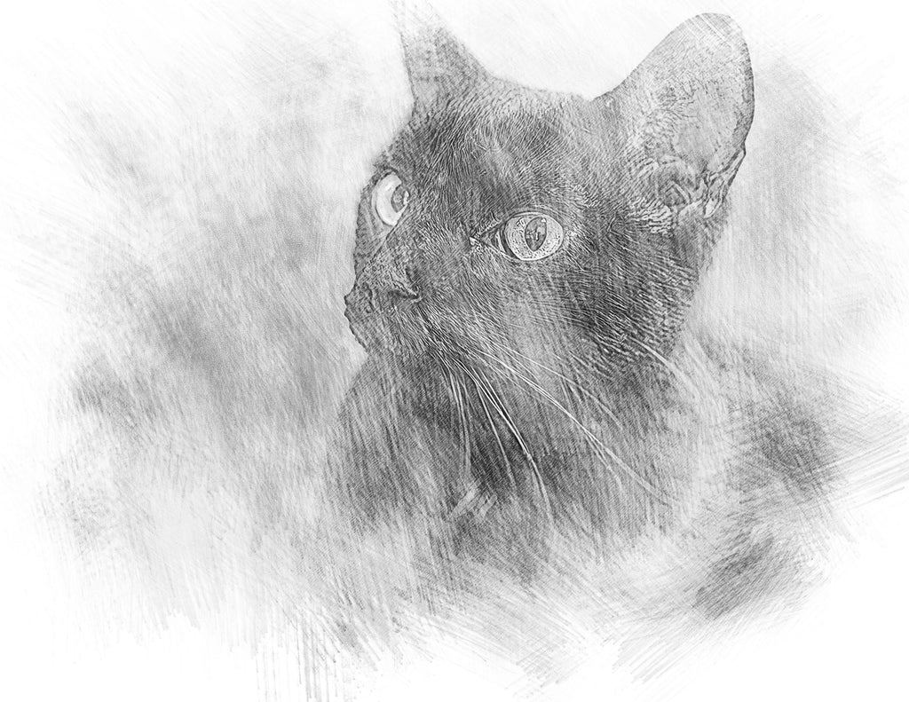 Custom Pencil Sketch Effect (Digital)
