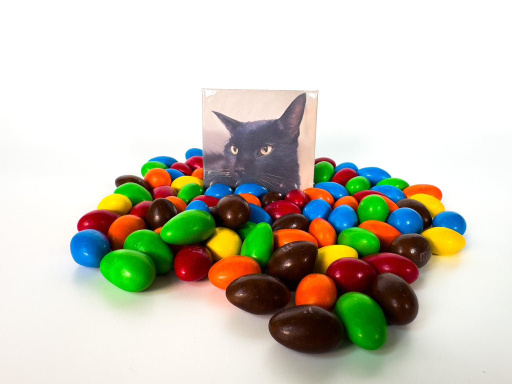 Custom Photo Magnets: Personalized Fridge Decor, Set of 8 (2.5"x2.5") Square