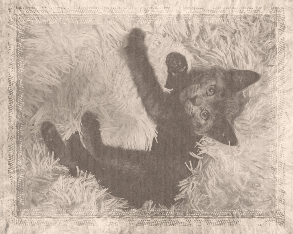 Custom Vintage Photo Effect (Digital)