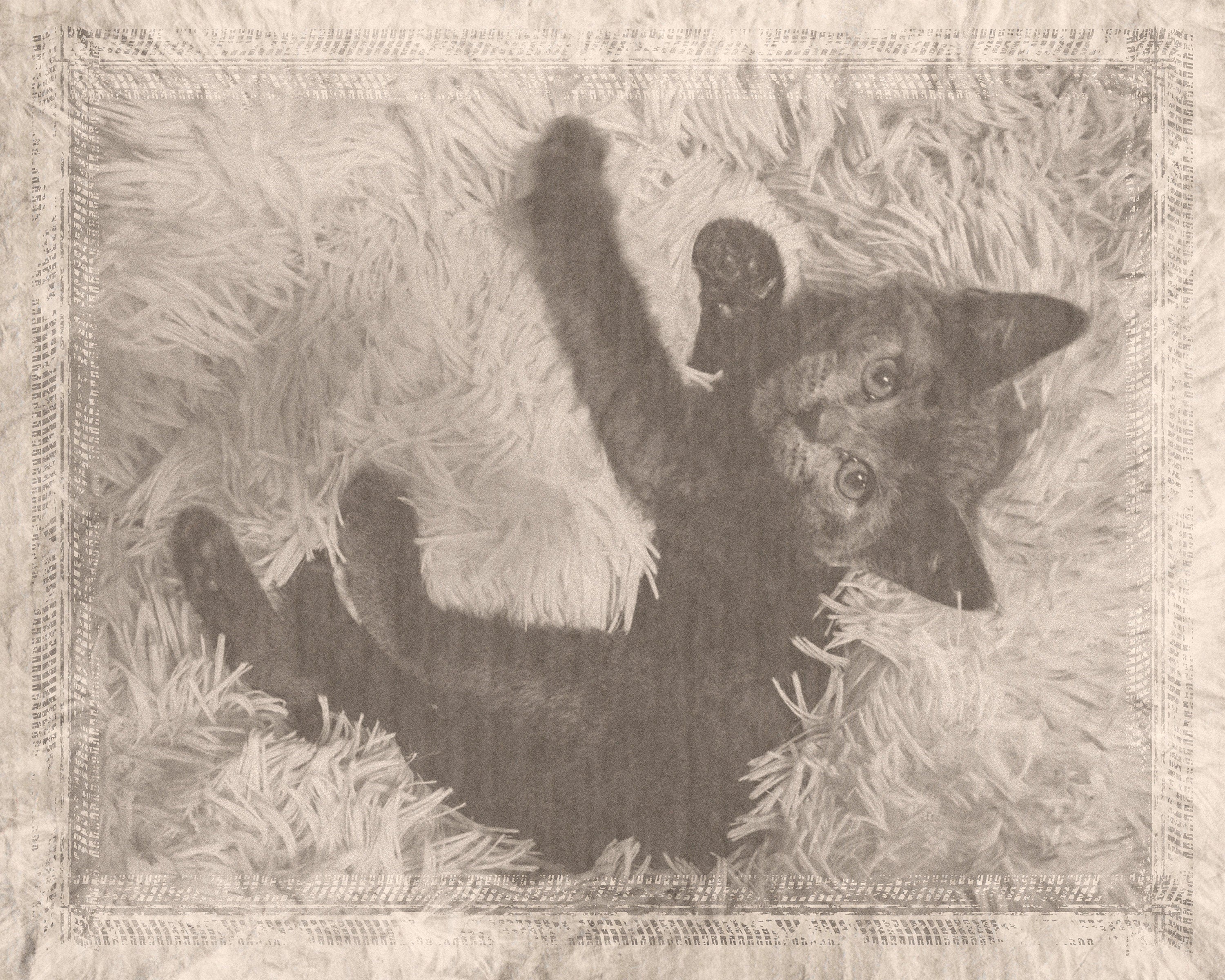 Custom Vintage Photo Effect (Digital)