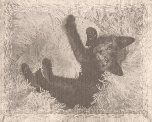 Custom Vintage Photo Effect (Digital)