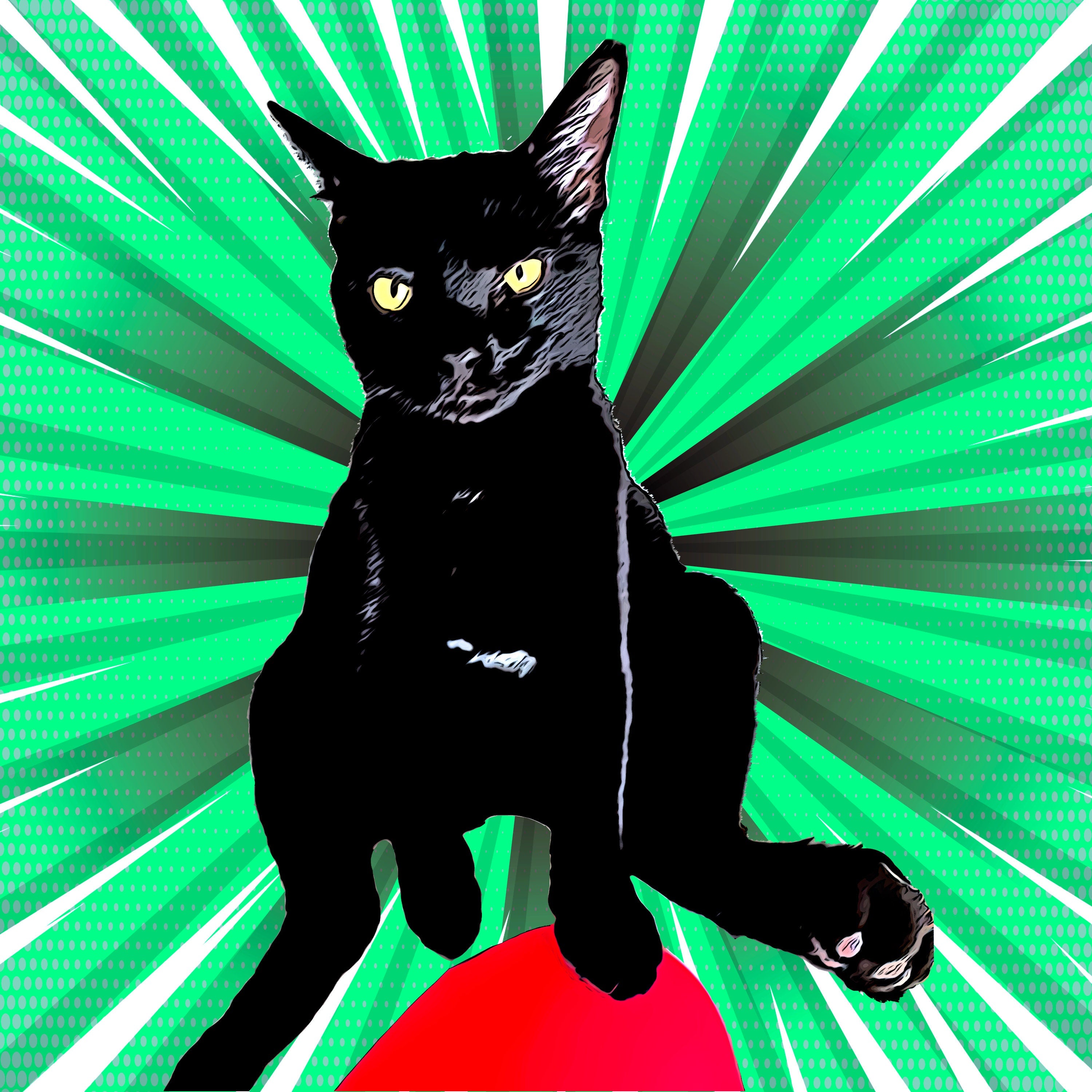 Custom Cartoon Pop Art Portrait (Digital)