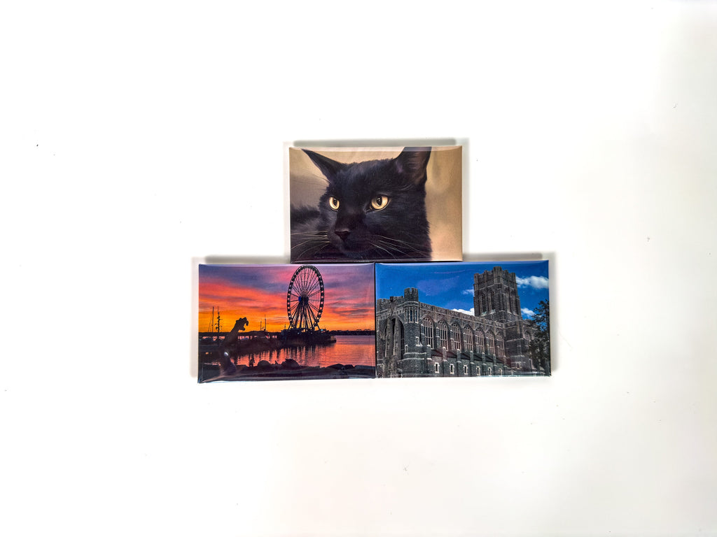 Photo Printed Magnets: Personalized Home Decor, Set of 8 (3"x2") Rectangular
