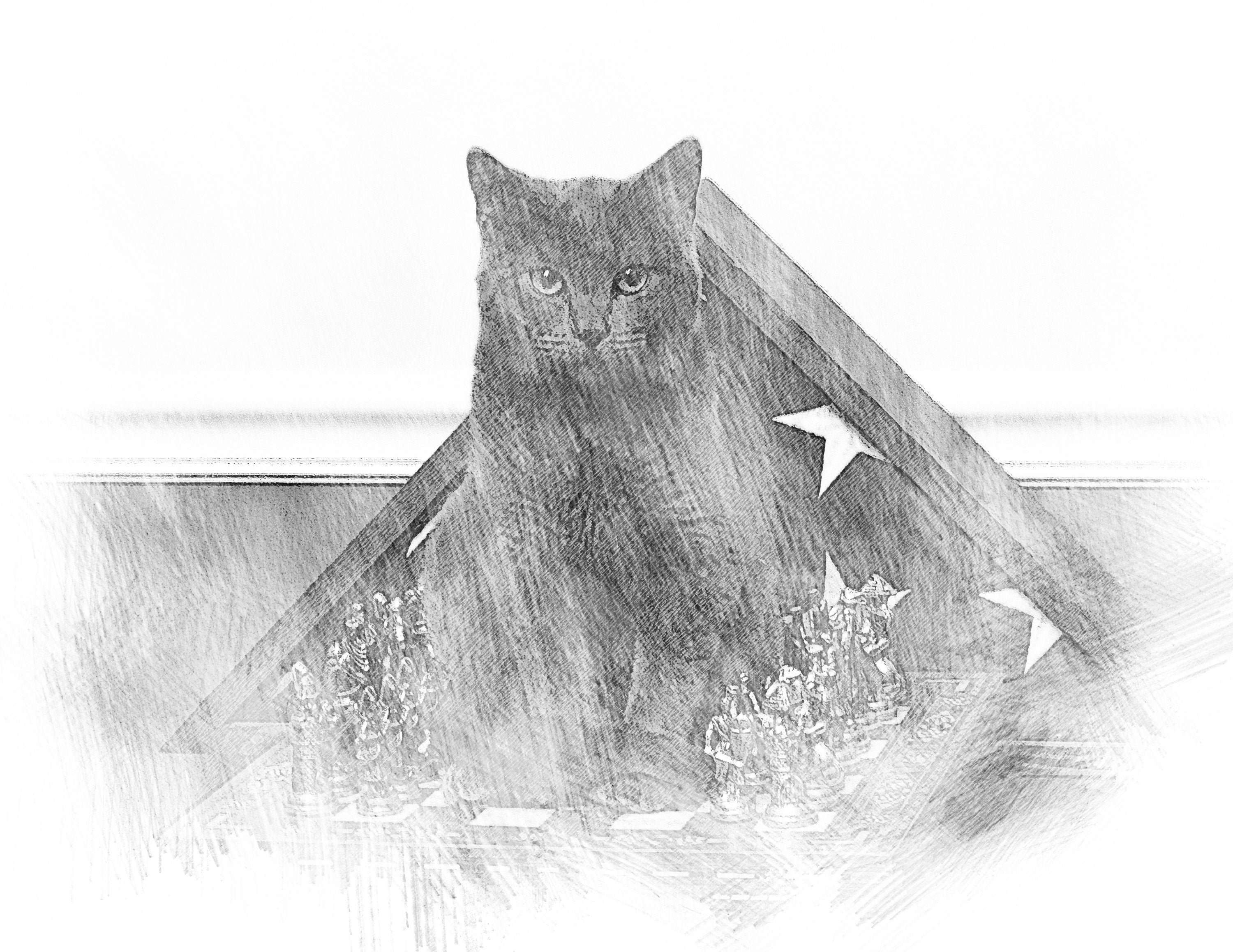 Custom Pencil Sketch Effect (Digital)