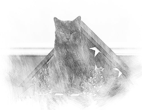 Custom Pencil Sketch Effect (Digital)