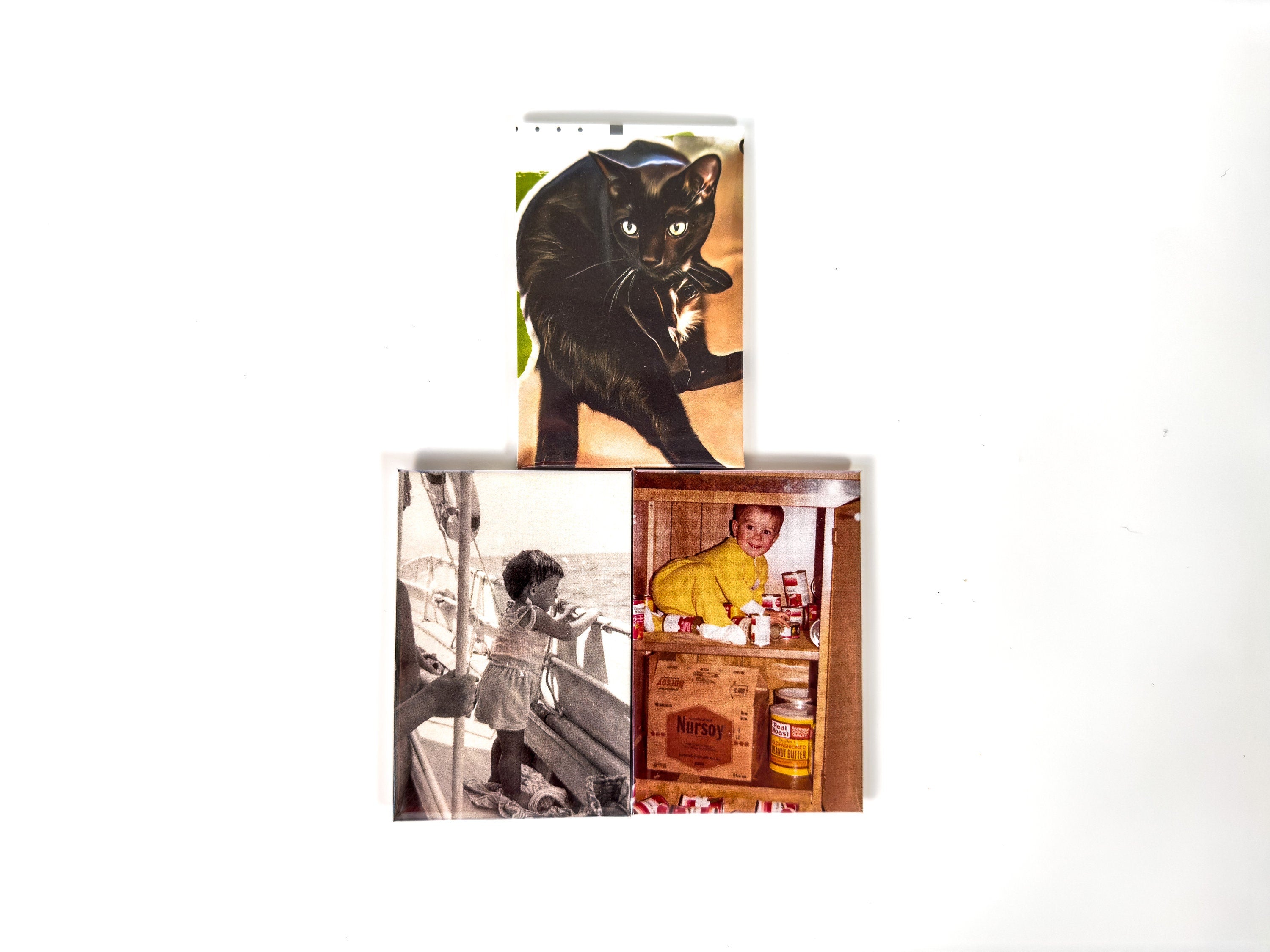Photo Printed Magnets: Personalized Home Decor, Set of 8 (3"x2") Rectangular
